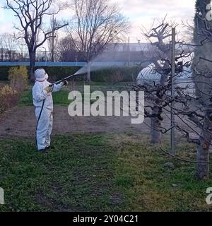 Irrorazione di prodotti chimici di protezione sul campo coltivazione del terreno mediante prodotti chimici Foto Stock