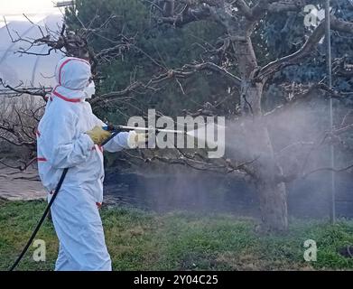 Irrorazione di prodotti chimici di protezione sul campo coltivazione del terreno mediante prodotti chimici Foto Stock