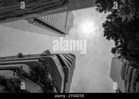 Una fotografia in bianco e nero che cattura la vista verso l'alto dei moderni grattacieli, parzialmente ricoperti di vegetazione lussureggiante. Foto Stock