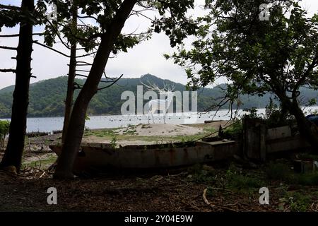 1° settembre 2024. Ishinomaki, Prefettura di Miyagi, Giappone. I dintorni di White Deer (Oshika), un'opera di Kohei Nawa. Foto Stock