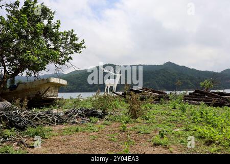 1° settembre 2024. Ishinomaki, Prefettura di Miyagi, Giappone. I dintorni di White Deer (Oshika), un'opera di Kohei Nawa. Foto Stock