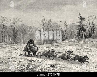 Dogsled, Russia. Disegno di Claude Durand-Berger. Da kiev a Berezov, ricordi di un esilio in Siberia, 1839 di Ewa Felinska (1793-1859) le Tour du Monde 1862 Foto Stock