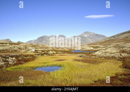 Parco nazionale di Rondane in autunno Foto Stock