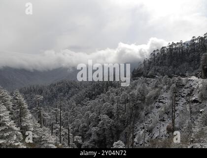 La foresta e la strada principale nella neve a Thrumshingla passano la frontiera tra centrale e orientale del Bhutan Foto Stock