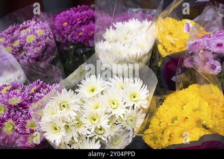 Fiori freschi di fronte a un negozio di fiori Foto Stock