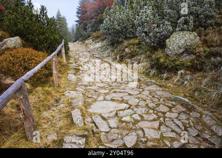 Sentiero in autunno scenario, percorso di pietra con semplice balaustra in legno in alta montagna, Polonia, Europa Foto Stock