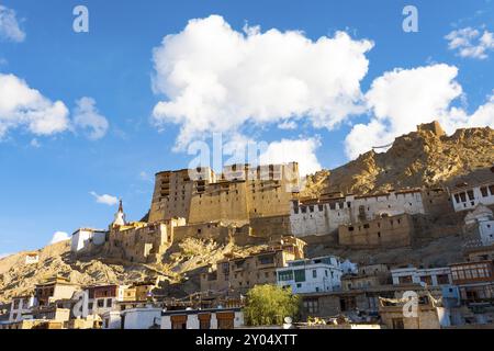 Facciate anteriore di Leh Palace e stile tibetano case sulla collina su un cielo blu giorno di estate in Ladakh, India. Posizione orizzontale Foto Stock