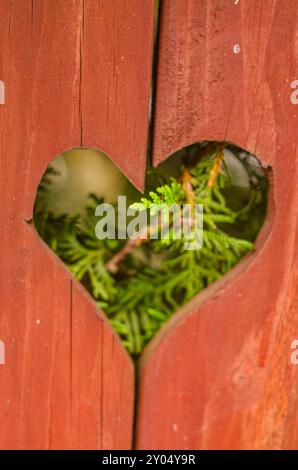 la fessura a forma di cuore nella recinzione in legno e il verde visibile attraverso di essa. Foto di alta qualità Foto Stock