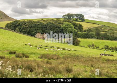 North Pennines paesaggio sulla strada tra Dufton e tazza alta Nick in Cumbria, England, Regno Unito Foto Stock