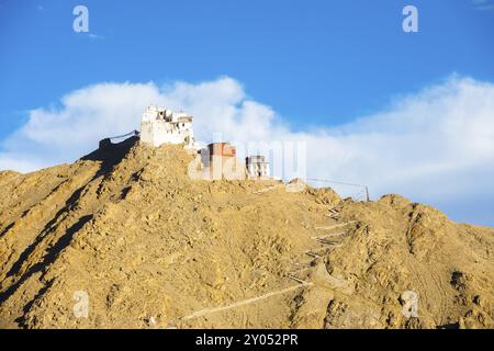 Forte Tsemo e Namgyal Tsemo Gompa in cima a una montagna vista dalla distanza del teleobiettivo a Leh, Ladakh, India, Asia Foto Stock