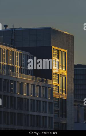 Torre dell'ufficio, facciata alla luce della sera, architetto Jo Coenen, Unterbilk, Kaistrasse 2 nel Media Harbour, Duesseldorf, Renania settentrionale-Vestfalia Foto Stock