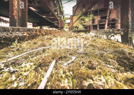 Primo piano di muschio che cresce su strutture metalliche in decomposizione, acciaierie HF4, Lost Place, Dampremy, Charleroi, provincia di Hainaut, Belgio, Europa Foto Stock