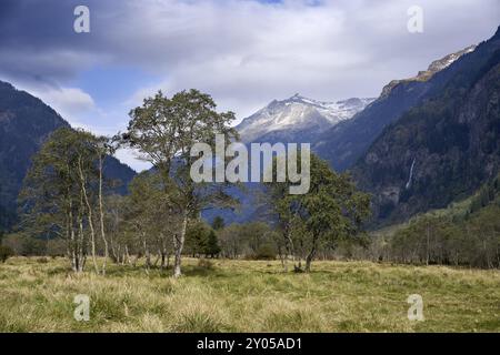 Paesaggio alluvionale nella Valle di Malta, Carinzia, Austria, Europa Foto Stock