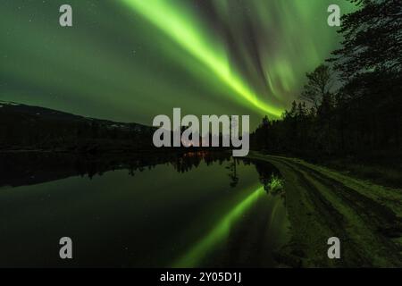 Aurora boreale (Aurora boreale) riflessa in un lago, Parco Nazionale di Rago, Nordland, Norvegia, Scandinavia, Europa Foto Stock