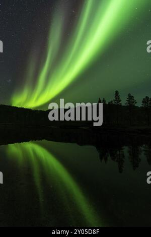 Aurora boreale (Aurora boreale) riflessa in un lago, Parco Nazionale di Rago, Nordland, Norvegia, Scandinavia, Europa Foto Stock