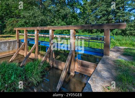 Jaz Grabownica, una diga per controllare il flusso, presso lo stagno di Staw Grabownica, la riserva naturale di Milicz Ponds, il parco paesaggistico della valle di Barycz, bassa Slesia, Polonia Foto Stock