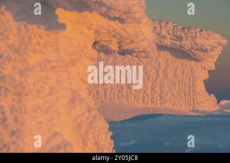 Capanne ricoperte di gelo sul Monte Dundret, riserva naturale di Dundret, Gaellivare, Norrbotten, Lapponia, Svezia, gennaio 2014, Europa Foto Stock