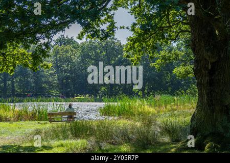 Donna solitaria seduta sulla panchina accanto a un laghetto di lilililillei moquette in un pomeriggio di sole estati. Foto Stock