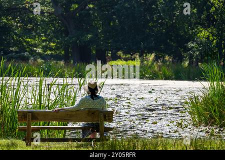 Donna solitaria seduta sulla panchina accanto a un laghetto di lilililillei moquette in un pomeriggio di sole estati. Foto Stock