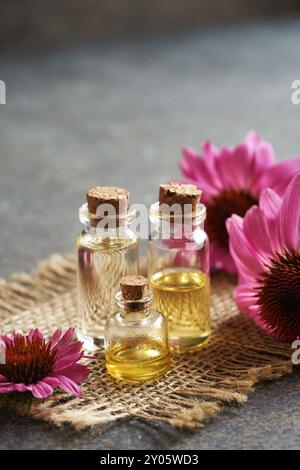 Tre bottiglie di olio essenziale per aromaterapia con fiori di echinacea viola, con spazio copia Foto Stock