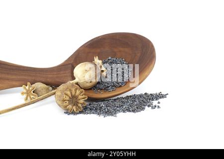 Cialde di semi di papavero essiccati e semi di papavero in cucchiaio di legno isolato su sfondo bianco, piena profondità di campo Foto Stock