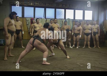 Tokyo, Giappone, 21 dicembre 2014: Allenamento dei lottatori di sumo giapponesi nel loro stallo nel distretto di Ryogoku, in Asia Foto Stock