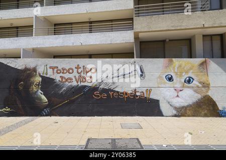 Santiago del Cile, Cile, 28 novembre 2015: Graffiti su un muro nelle strade del quartiere Bellavista, Sud America Foto Stock