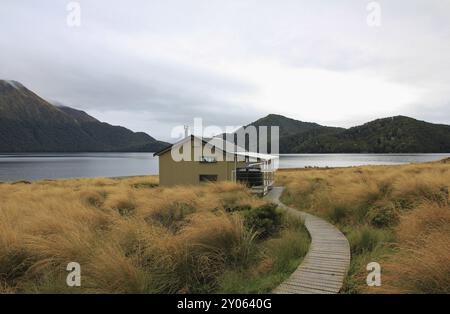 Scena nel Fjordland National Park, nuova Zelanda. Capanna pubblica. Percorso per escursioni a Green Lake Foto Stock