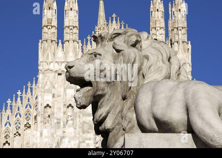 Leone di pietra dal seminterrato del monumento a Re Vittorio Emanuele il secondo di fronte alla facciata gotica del Duomo di Milano in Piazza Duomo Foto Stock