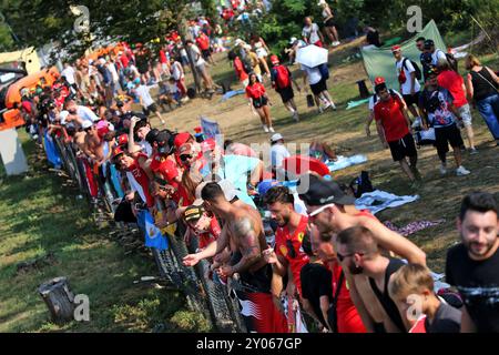 Monza, Italia. 1 settembre 2024. Atmosfera circuito - ventole. 01.09.2024. Campionato del mondo di formula 1, Rd 16, Gran Premio d'Italia, Monza, Italia, giorno della gara. Il credito fotografico dovrebbe essere: XPB/Alamy Live News. Foto Stock