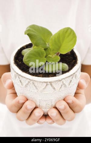 Primo piano ha sparato le mani del bambino tenendo la pianta giovane in un germoglio Foto Stock