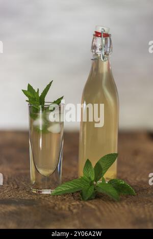 Limonata di zenzero fatta in casa con foglie di menta Foto Stock