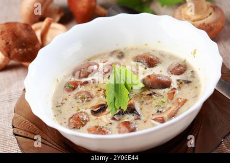 Zuppa di funghi con funghi da campo (agaricus) e funghi shiitake Foto Stock