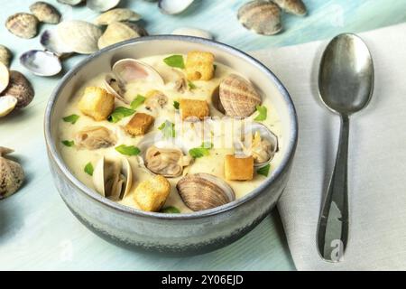 Clam Chowder con prezzemolo fresco e crostini con gusci su uno sfondo blu Foto Stock