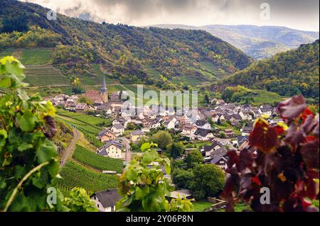 Il villaggio di Mayschoss sotto il sentiero per escursioni con vino rosso nella valle di Ahr Foto Stock