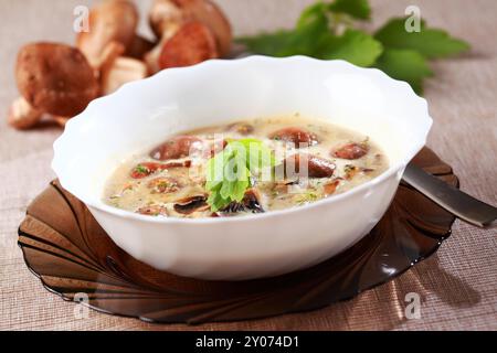 Zuppa di funghi con champignon prato (Agaricus) e funghi shiitake Foto Stock