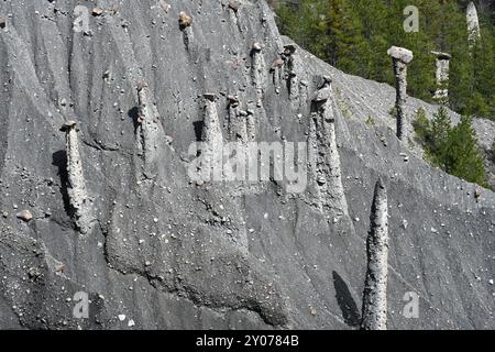 Fairy Chimneys o Hoodoo Rock, Demoiselles Coiffées de Théus, nella Valle della Durance, Theus, Alpes-de-Haute-Provence Provence Provence Francia Foto Stock