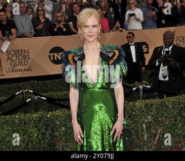 Nicole Kidman al 23° Annual Screen Actors Guild Awards tenutosi alla Shrine Expo Hall di Los Angeles, USA il 29 gennaio 2017 Foto Stock