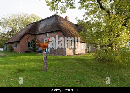 Orgoglioso gallo su un palo di legno Foto Stock