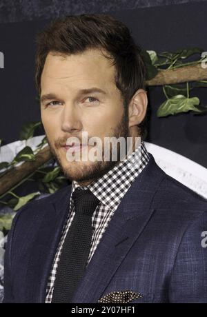 Chris Pratt alla prima di Los Angeles del "Jurassic World" tenutasi al Dolby Theatre di Hollywood, USA, il 9 giugno 2015. Credito: Lumeimages.com Foto Stock