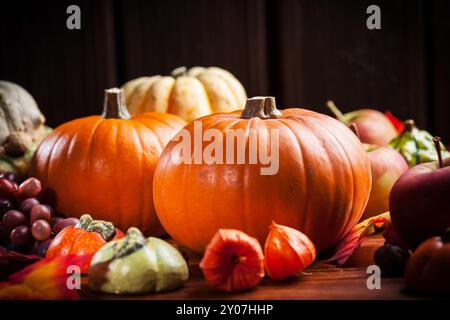 Zucche tradizionali per il giorno del Ringraziamento e Halloween in colori caldi Foto Stock