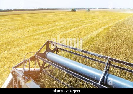 Vista dalla cabina di una mietitrebbia su campo Foto Stock