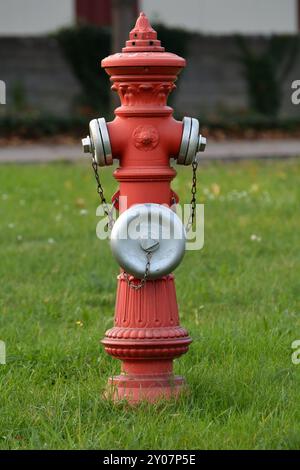 Vecchio idrante in un prato nel porto di Magdeburgo Foto Stock