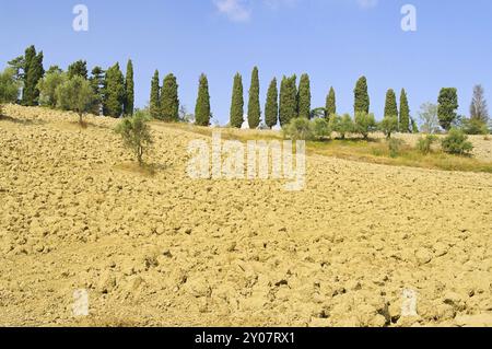 Campo Toscana 01 Foto Stock