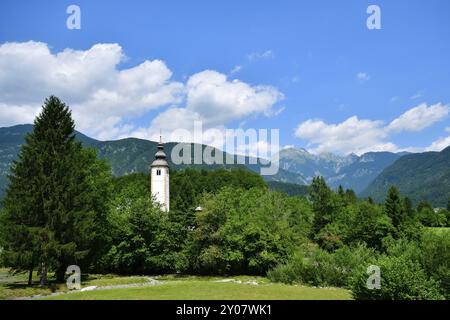 A Bohinjsko jezero (lago di Bohinj) in Slovenia. Bohinjsko jezero (lago di Bohinj) in Slovenia con vista sul Triglav Foto Stock