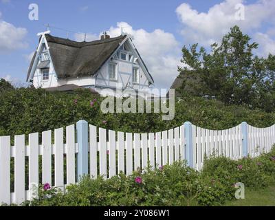 An der Ostsee, nel Mar Baltico, a Heiligenhafen Foto Stock