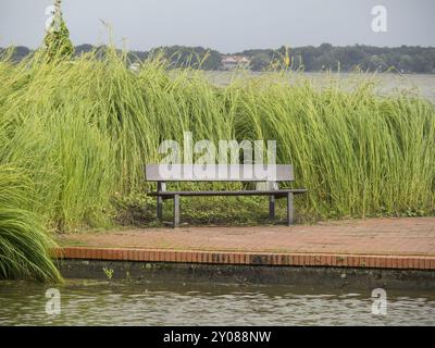 Una panchina si erge da sola sulla riva del lago, circondata da erba alta e un sentiero in mattoni, Bad Zwischenahn, ammerland, germania Foto Stock