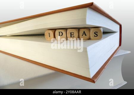 Messaggio di idee scritto con blocchi di legno tra le pagine del libro, simbolo, concetto Foto Stock