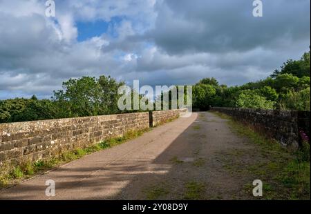 Viadotto di Merrygill sulla linea ferroviaria in disuso vicino a Kirkby Stephen, Cumbria Foto Stock