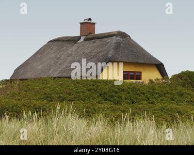 Casa in Dune Foto Stock